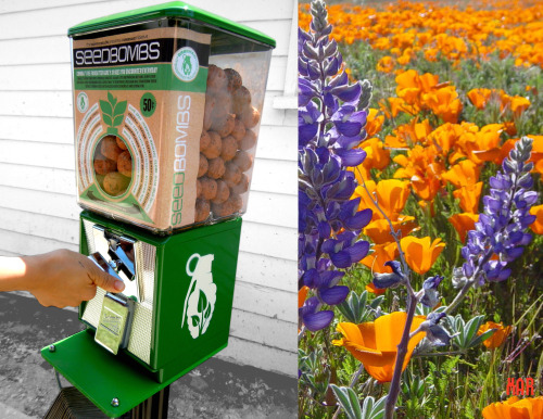 Essa máquinas de sementes pode transformar cidades em parques verdes Bombas de sementes