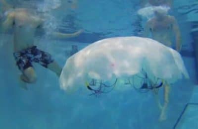 água-viva robótica