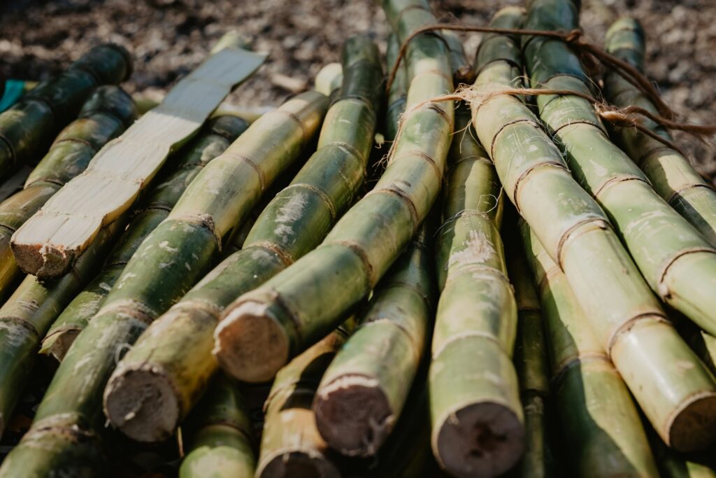 Engenheiro desenvolve processo de purificação da água através da cana-de-açúcar purificação da água - cana-de-açucar