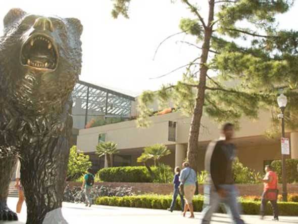 University-of-California-LA