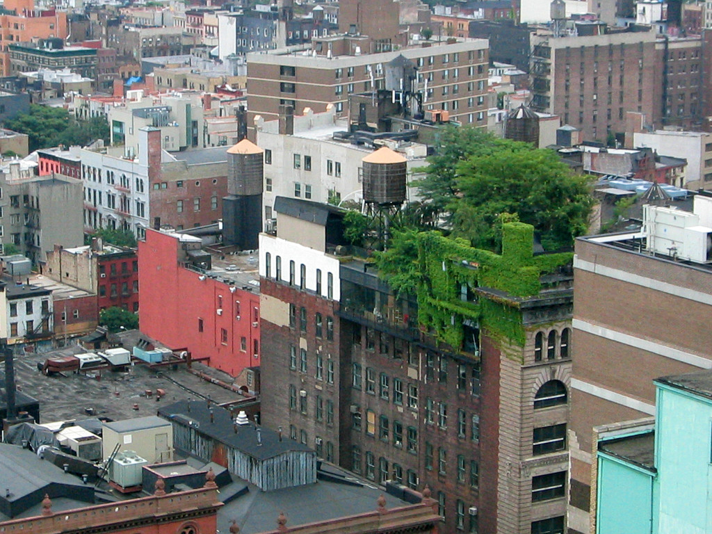 Edifício - green roof