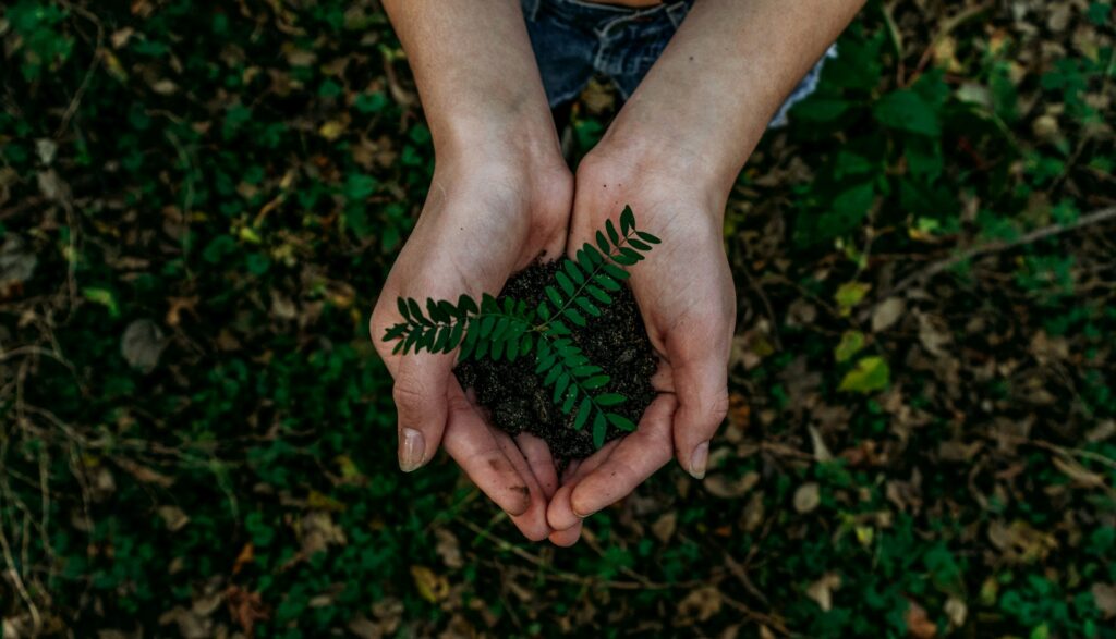 O que é marketing verde? Engenharia 360