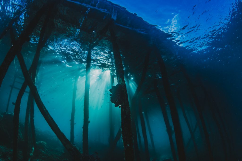 Concreto Submerso: Tudo o Que Você Precisa Saber