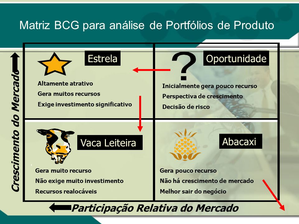 O Que é E Como Funciona A Matriz Bcg 360 Explica 9531