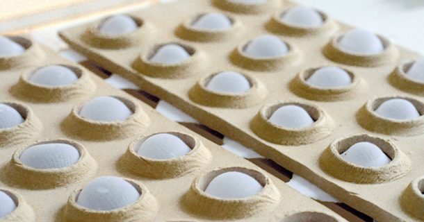 Estudantes criam parede que reduz a temperatura