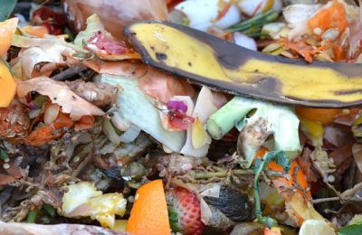Compostagem doméstica é aposta para um mundo mais sustentável. Conheça algumas opções.