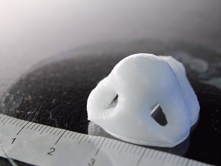 Bioimpressão 3D Cartilagem Nariz 01
