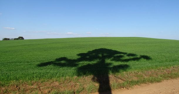 Como funciona uma licença ambiental? | 360 Explica