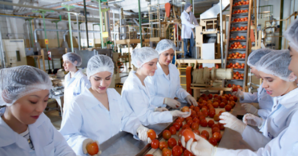 TUDO o que você precisa saber sobre Engenharia de Alimentos