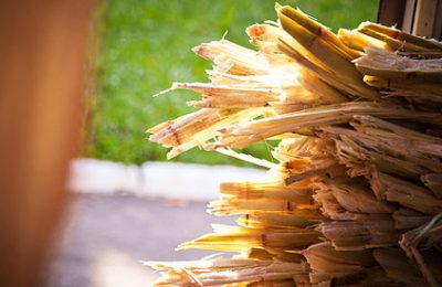 Pesquisador propõe transformar vinhaça do caldo de cana em biogás