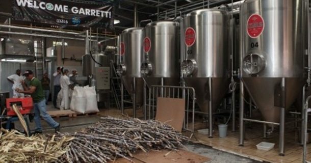 Brasileiros criam a primeira cerveja de cana do mundo