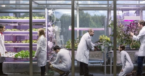 Comida computadorizada pode ser o futuro da agricultura