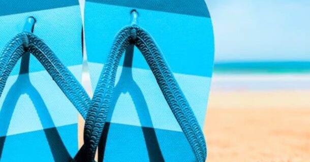cropped-pexels-armando-oliveira-346903221-29017690.jpg