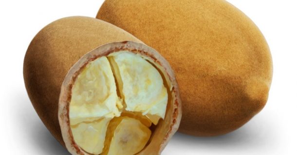 Resíduos de cupuaçu dão origem a embalagem sustentável