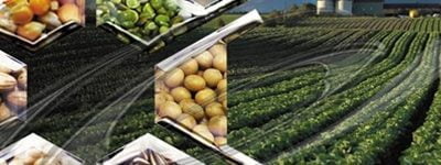 Estaria no fim a carreira de Engenheiro Agrônomo?