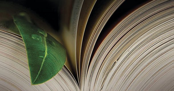 A importância do Estudo de Impacto Ambiental na engenharia