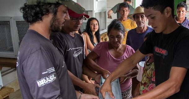 Sol fornece gelo e desenvolvimento no Amazonas