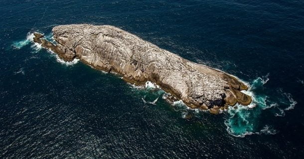 hidrofone - monitoramento de áreas de preservação