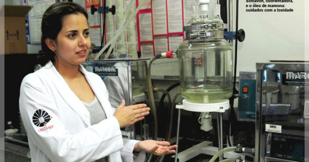 Pesquisadoras criam próteses com matérias-primas naturais Pesquisadoras criam próteses com matérias-primas naturais