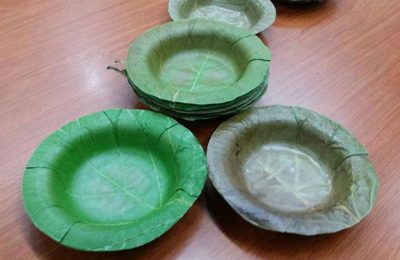 Pratos produzidos com folhas de árvores substituem os de isopor e plástico