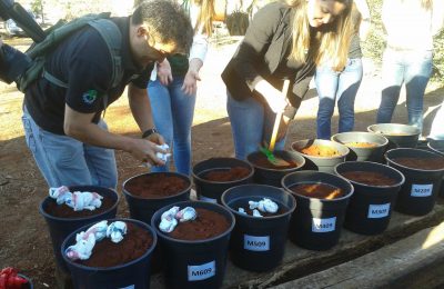 Curso de Engenharia Ambiental testa sacolas biodegradáveis
