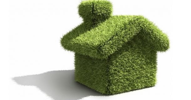 Um pouco de verde sobre o cinza