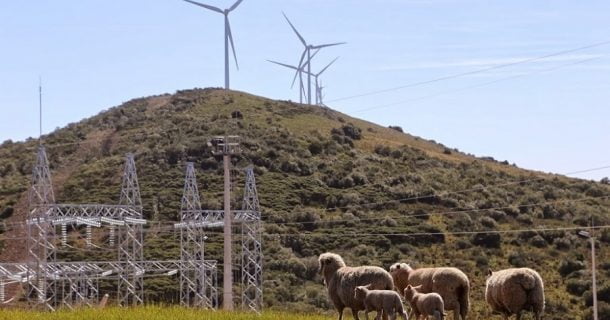 Uruguai desponta como exemplo de energia renovável