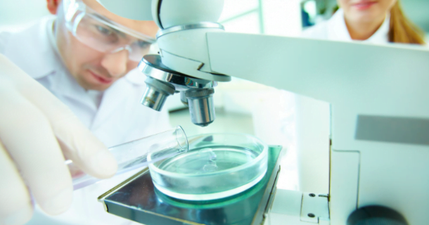 Que tal estudar na Finlândia? Conheça um programa inédito de mestrado em Engenharia Química