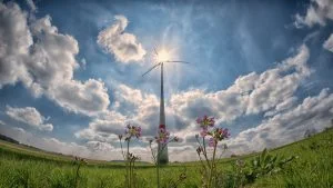 Oportunidade de Mestrado em Meio Ambiente na França