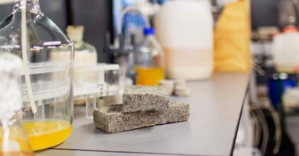 Estudantes de engenharia criam tijolo ecológico a partir de urina humana