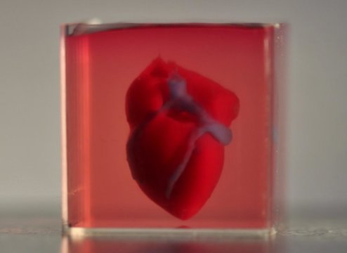 impressão 3d coração