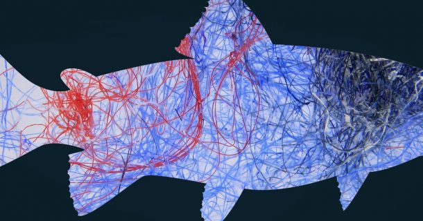 Microfibras: suas roupas podem poluir o meio ambiente e você nem sabia!