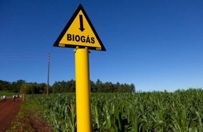 biogás pode gerar energia