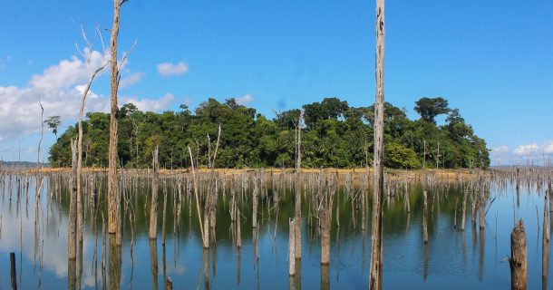 hidrelétricas amazônia pegada de carbono IA