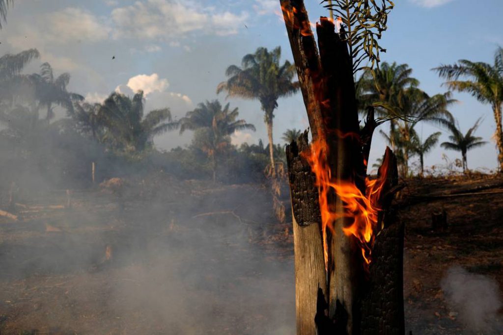 Entenda a gravidade e o tamanho do impacto dos incêndios na Amazônia incêndios na amazônia