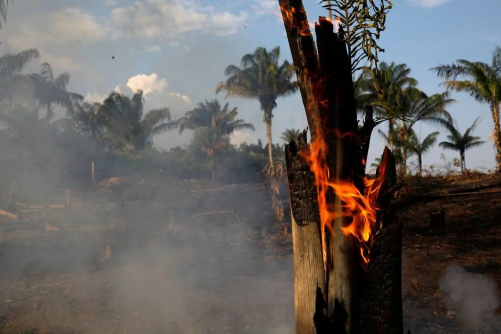 incêndios na amazônia