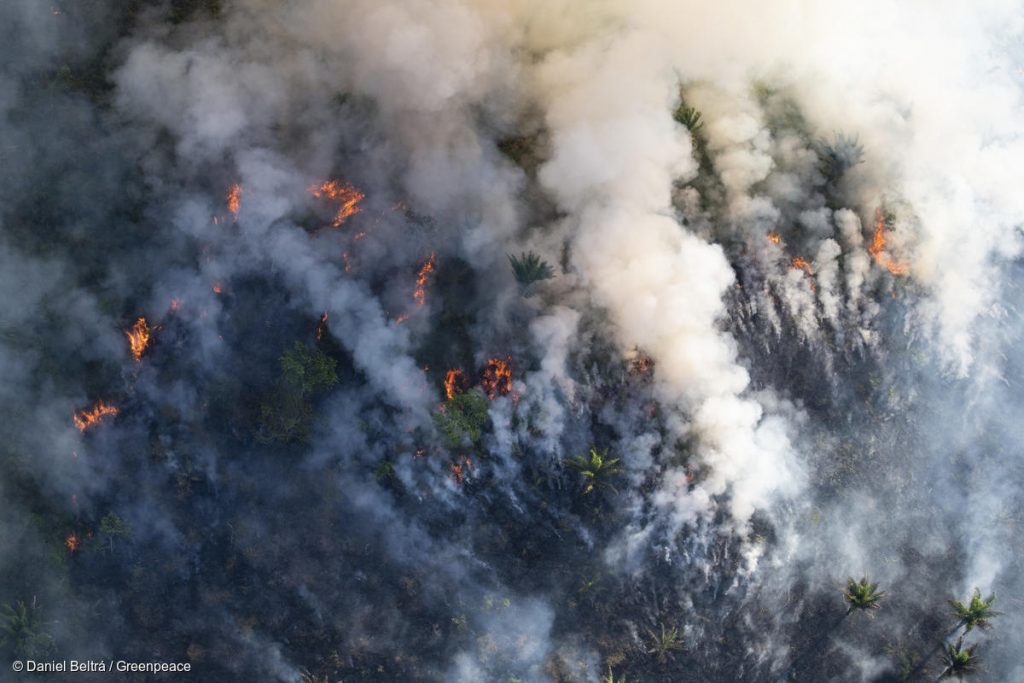 incêndios na amazônia
