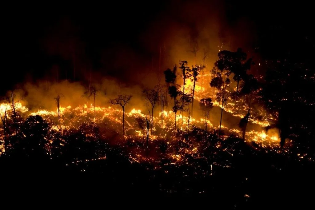 incêndios na amazônia