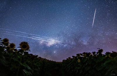 starlink rastro