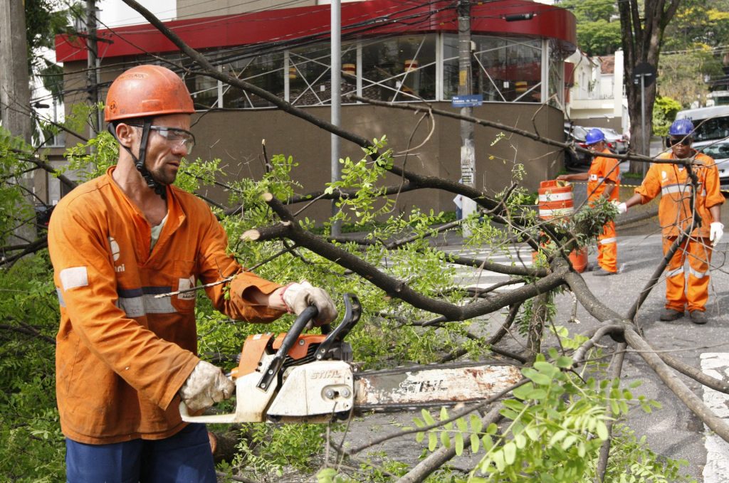 Lei De Poda De árvores é Alterada Em São Paulo Confira 0828