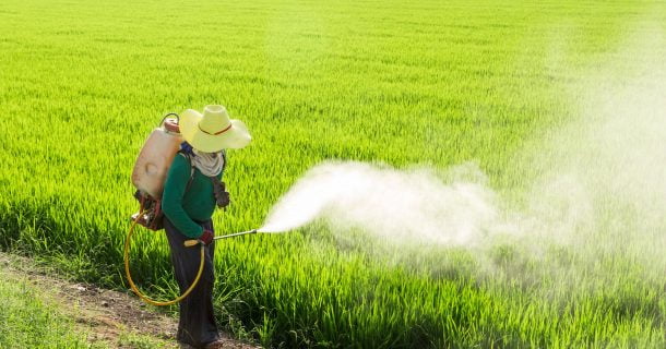 aplicação de pesticida atrazina