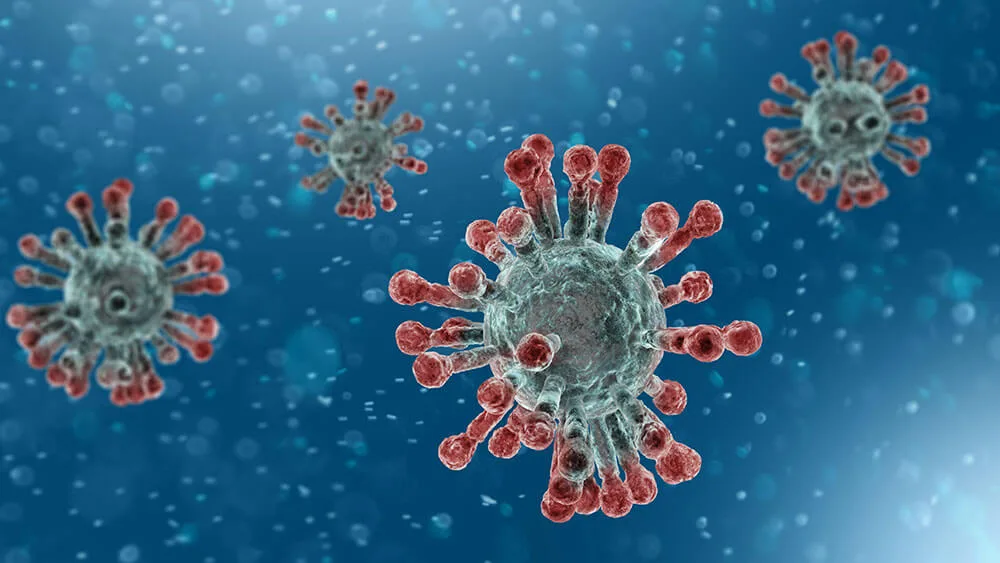 virus coronavirus