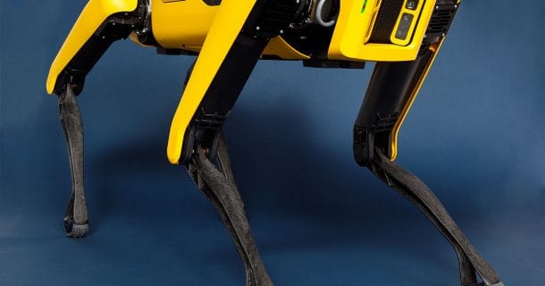 cão robô spot da boston dynamics
