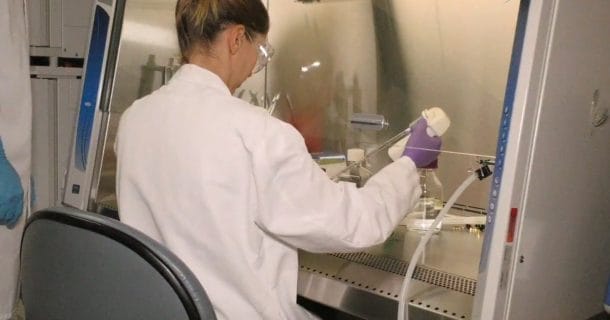 pesquisadores dos modelos de tumores em laboratório manipulando aparelhos