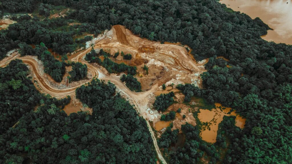 Dados acústicos são utilizados para prever desmatamento ilegal amazônia