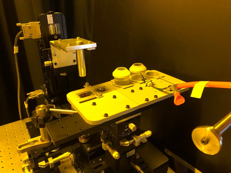 estrutura criada para imprimir microestruturas coloridas em 3D