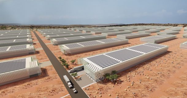 oásis hidropônico áfrica