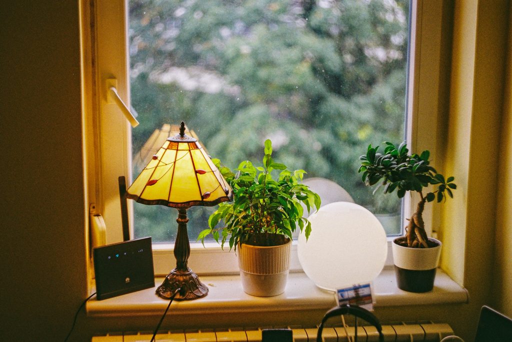 plantas no escritório representando biofilia