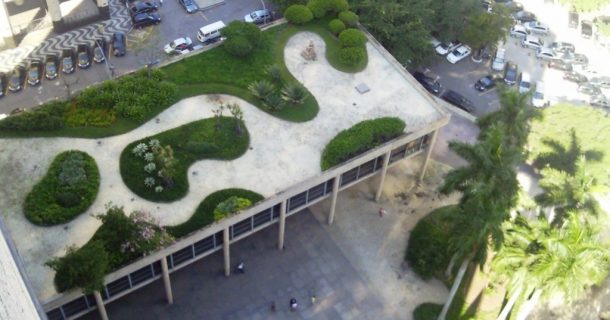 Jardins suspensos