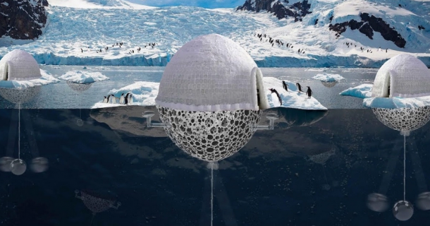 Sistema de proteção ajuda pinguins a procriarem e ainda reduz derretimento do gelo polar